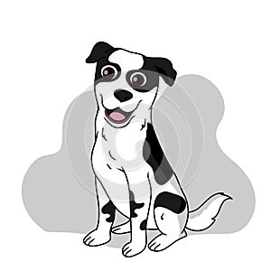 Jack russell terrier black vector illustration photo