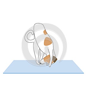Jack russell terrier character or dog doing yoga isolated on white background, outline and flat vector stock illustration as asana