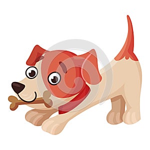 Jack Russell Terrier Character Stretching with Bone in Its Mouth and Wriggling Tail Vector Illustration