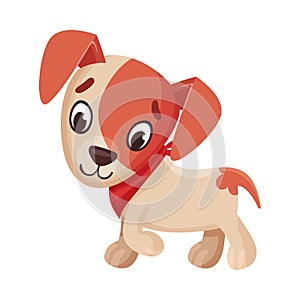 Jack Russell Terrier Character Walking and Wriggling Tail Vector Illustration