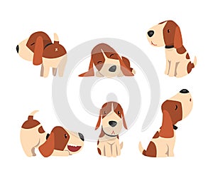 Jack Russell Terrier Dog with Cute Snout and Coat with Brown Spot in Different Pose Vector Set