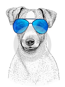 Jack russell terrier dog head hand drawn illustration. Doggy in blue sunglasses, isolated