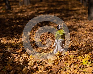 Jack Russell Terrier dog holding a yellow maple leaf on a walk in the autumn park.