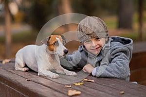 Jack Russell Terrier dog sits on a bench for a walk with a boy in an autumn park.