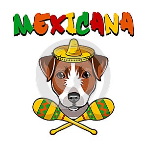 Jack Russell Terrier dog. Sombrero maracas. Mexico. Dog breed. Vector.