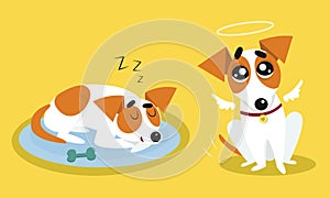 Jack Russell Terrier Jumping Sleeping and Wriggling Tail Vector Illustration Set