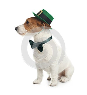 Jack Russell terrier with leprechaun hat and bow tie on background. St. Patrick`s Day