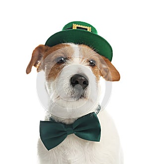 Jack Russell terrier with leprechaun hat and bow tie on white background. St. Patrick`s Day