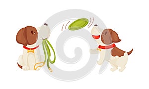 Jack Russell Terrier Playing Frisbee Wriggling Tail and Holding Leash Vector Set
