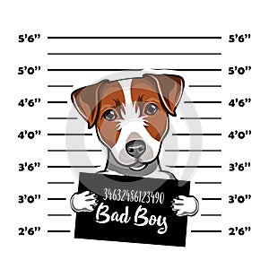 Jack Russell Terrier prisoner. Arrest photo. Police placard, Police mugshot, lineup. Police department banner. Dog. Vector.