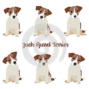 Jack Russell Terrier.