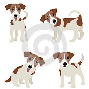 Jack Russell Terrier. Vector Illustration of a dog