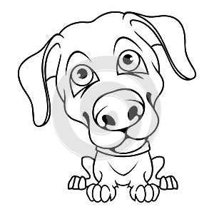 Jack Russell Terrier. Vector illustration of a sketch Ukrainian dog named Patron. Cute puppy. Beautiful domestic dog