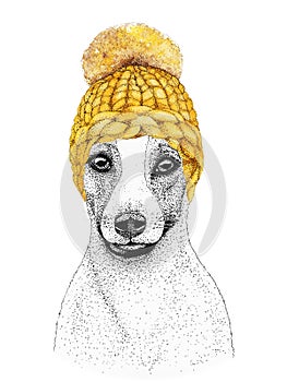 Jack russell terrier with yellow knitted hat and scarf. Hand drawn illustration of dressed dog