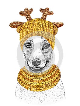 Jack russell terrier with yellow knitted hat and scarf. Hand drawn illustration of dressed dog