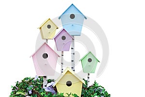 Jack starling house for birds, wooden birdhouses in different co