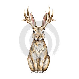 Jackalope myth rabbit creature watercolor illustration. Hand drawn wild mythological folklore animal. Rabbit with horns