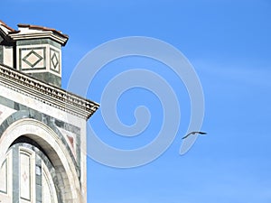 Jackdaw in in flight Florence Cathedral