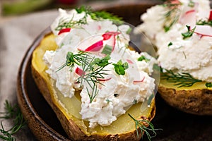 Jacked Potato with Cottage Cheese and Radish and Chive. Polish Traditional Pyry z Gzikiem Dish