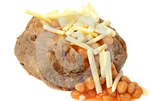 Jacket potato filled with baked beans and grated cheese photo