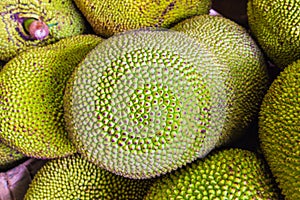 Jackfruit