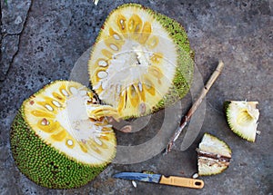 Jackfruit bamboo skewer to accelerate ripening on the plain bac