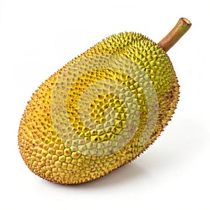 Jackfruit isolated on white background