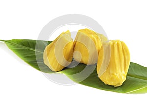 Jackfruit in leaves on white background close up top view