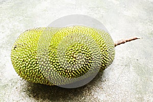 Jackfruit
