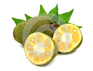 Jackfruit