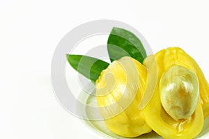 Jackfruit and seed isolated