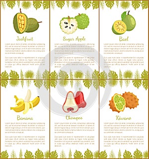 Jackfruit Sugar Apple, Bael Banana Champoo Posters