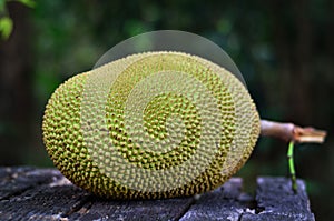 Jackfruit on wood background (Artocarpus heterophyllus) photo