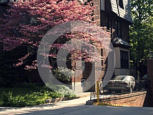 Jackson Heights house