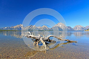 The Jackson Lake in Grand Teton