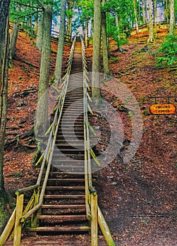 Jacobs ladder in Victoria park NS