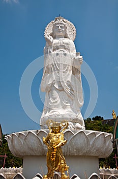 Jade Guan Yin