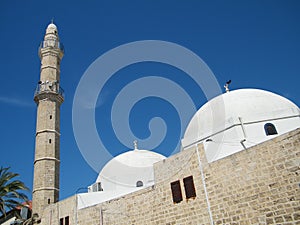 Cupola da moschea 2011 
