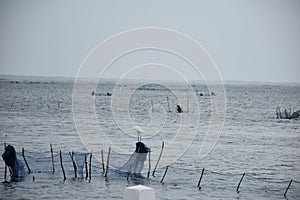 Jaffna Fishering