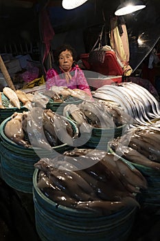 Jagalchi Fish Market Busan South Korea