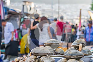 Jagalchi Market - fish market in Pusan Busan, South Korea - amazing variety of fish, clams, etc