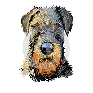 Jagdterrier, Hunting terrier, German Jagdterrier dog digital art illustration isolated on white background. Germany origin hunting