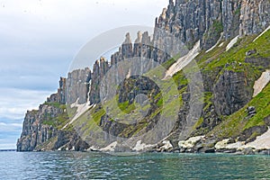 Jagged Bird Cliffs in the High Arctic