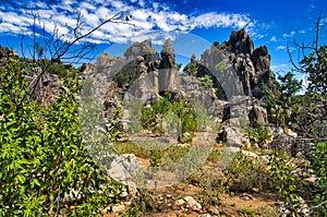 Jagged limestone rocks in the outback, Western Australia