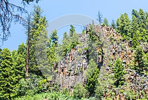 Jagged mountain peak amid lush green trees in Montana