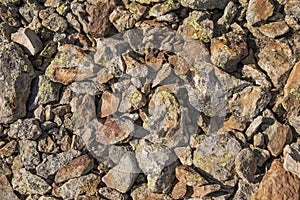Jagged Rock Texture with Lichen