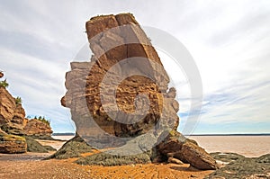Jagged Sea Stack at Low Tide