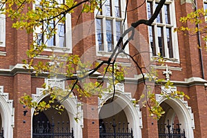 Jagiellonian University in Krakow Poland front entrance, historical medieval building with red brick