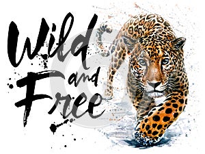 Jaguar watercolor predator animals wildlife, wild and free wildlife print for t-shirt