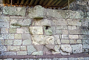 Jaguar carved into a building in Copan